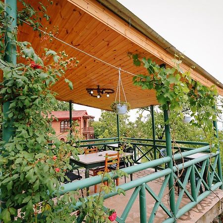 Guest House Evdoshvili St N5 Сигнахи Екстериор снимка